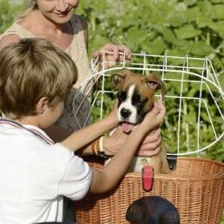 Kit Panier Vélo Chien Doggy Plus + Fixation GTA Klickfix 11 Kit Panier Vélo Chien Doggy Plus + Fixation GTA Klickfix -Vélo Soldes kit panier velo chien doggy plus fixation gta klickfix full 6